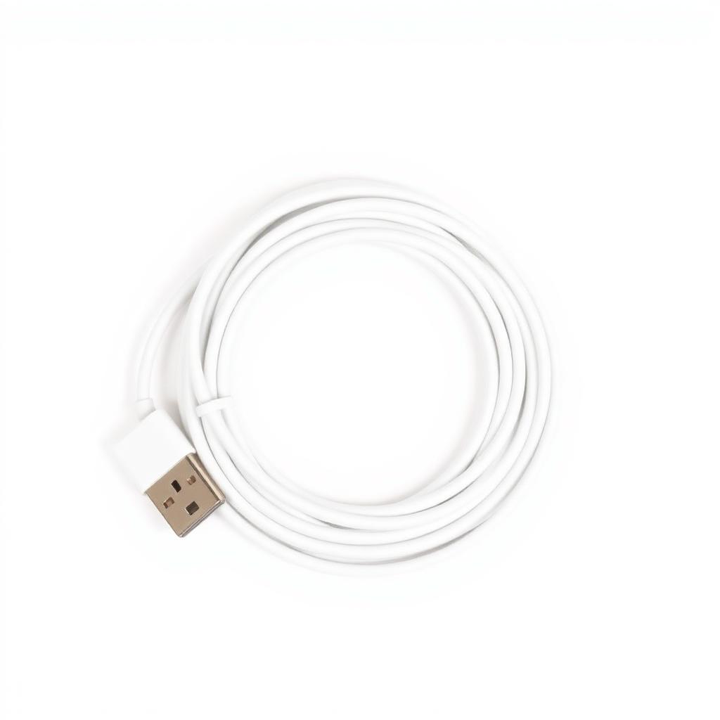 Apple Lightning to USB-C Cable (1m)